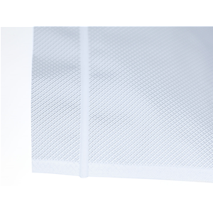 S250PLUSGN Macchina per sottovuoto automatica professionale Sico